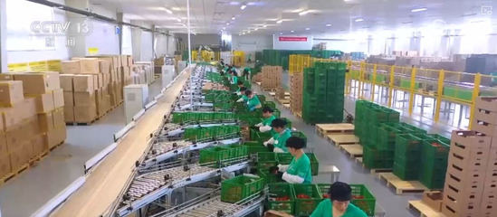 100億、10億、8.7萬(wàn)億!鄉(xiāng)村特色產(chǎn)業(yè)領(lǐng)域拓寬 發(fā)展韌性強(qiáng)