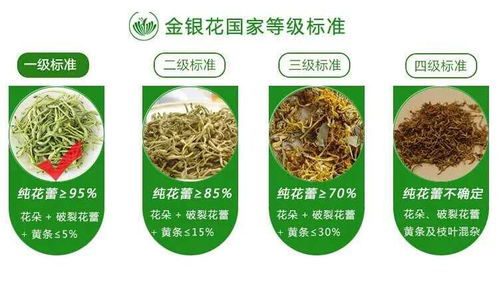 廣西巴馬意生活生態(tài)農(nóng)業(yè)產(chǎn)品正式上市 健康農(nóng)業(yè)新標(biāo)桿，綠色生活新風(fēng)尚